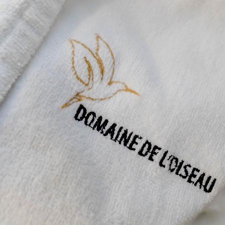 Domaine De L'Oiseau Bed & Breakfast Gergy ภายนอก รูปภาพ